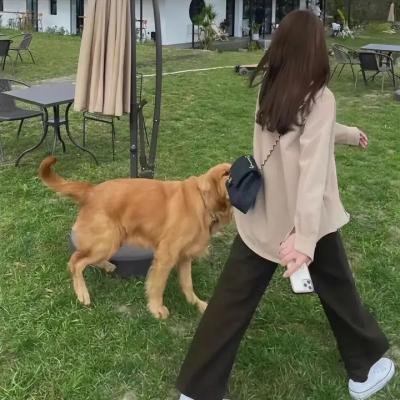 家有虎妻